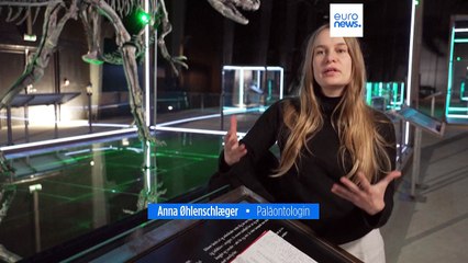 "Big Joe", wild, gefährlich und 150 Millionen Jahre alt