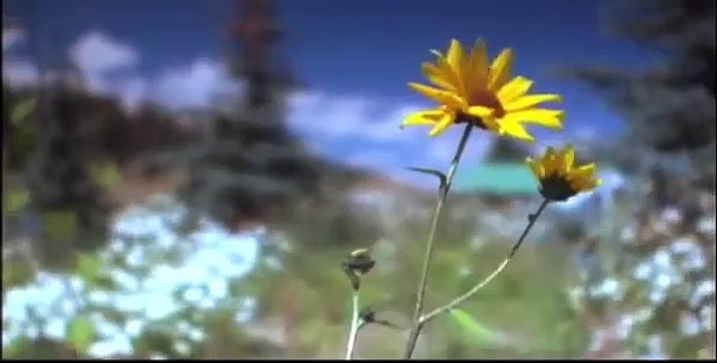 The Lodge | movie | 2008 | Official Trailer