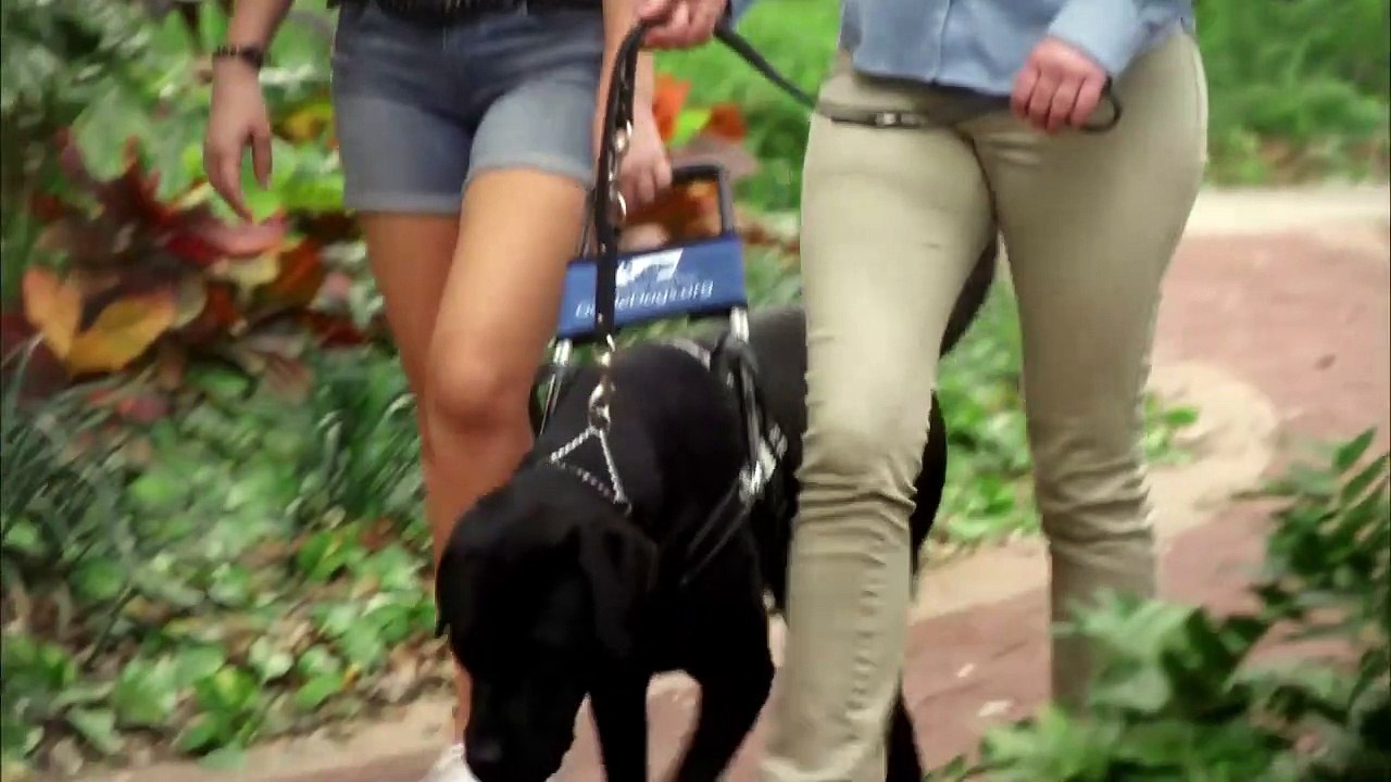 Apple of My Eye | movie | 2017 | Official Trailer