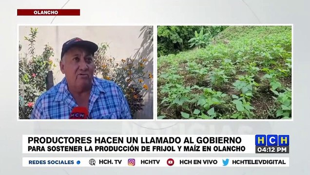 Productores hacen un llamado al gobierno para sostener la producción de frijol y maíz en Olancho