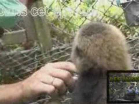 Bande Annonce Ep1 Les Missions de Chanee