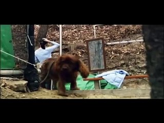 Missing Person | movie | 2009 | Official Trailer