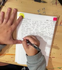 Page 28 of BOOK TWO - SUBJECTS OF LIFE being written