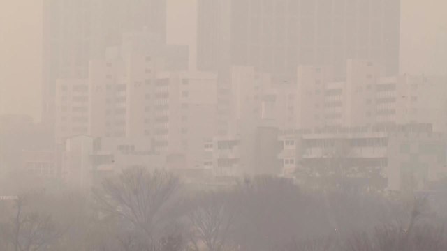 [날씨] 짙은 안개, 도로 살얼음 주의...초미세먼지 '나쁨' / YTN