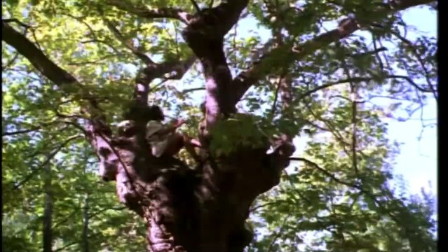 448 BC: Olympiad of Ancient Hellas | movie | 2004 | Official Trailer