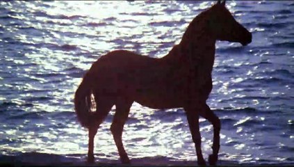 The Black Stallion | movie | 1979 | Official Trailer