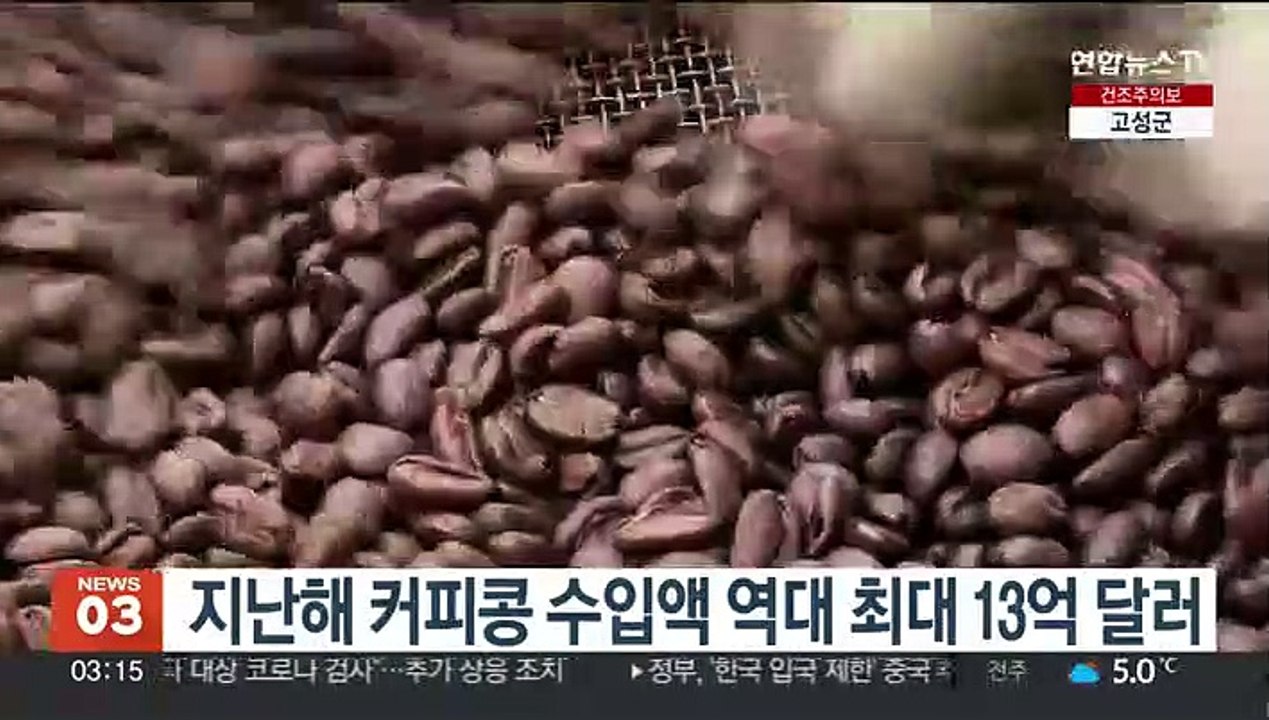 지난해 커피콩 수입액 역대 최대 13억 달러