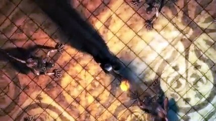 The Amazing Adventures of the Living Corpse | movie | 2012 | Official Trailer