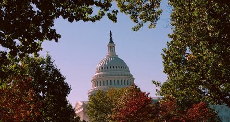 Tipping the Pain Scale | movie | 2021 | Official Trailer