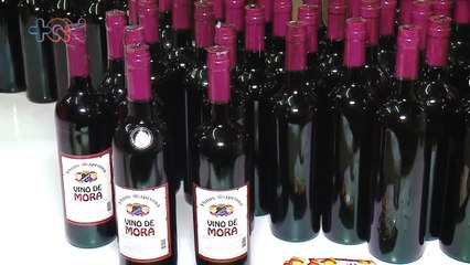 mqn-El Vino Saprissa lleva desde la década de los 40´s, poniendo felices a los aficionados-310123