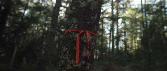 Bone Cage | movie | 2020 | Official Trailer