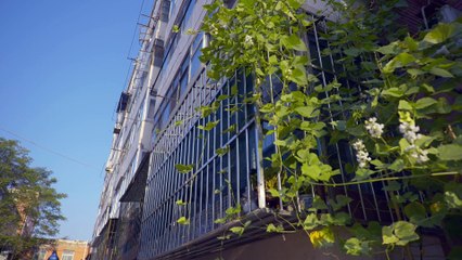 600 Anos na Cidade Proibida Leg.Pt-Br ep 01