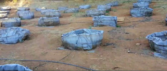 Don't Get Caught | movie | 2018 | Official Trailer