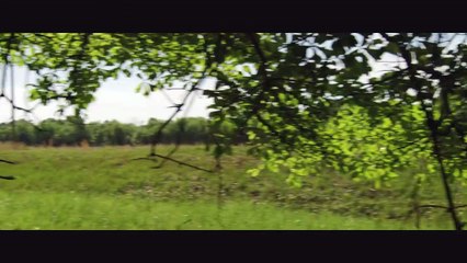 Rites of Spring | movie | 2011 | Official Trailer