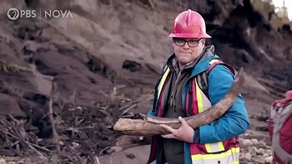 Polar Extremes | movie | 2020 | Official Trailer