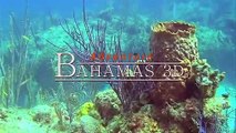 Adventure Bahamas 3D - Mysterious Caves And Wrecks | movie | 2012 | Official Trailer