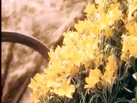 The Bronte Sisters | movie | 1979 | Official Trailer