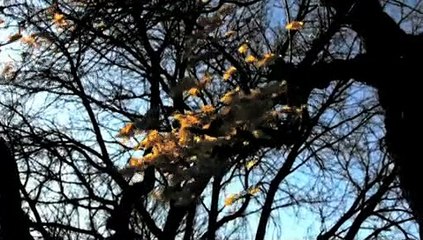 Stained | movie | 2010 | Official Trailer