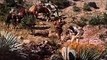 Comanche | movie | 1956 | Official Trailer