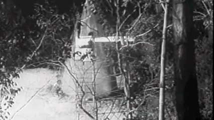 The Brain Eaters | movie | 1963 | Official Trailer