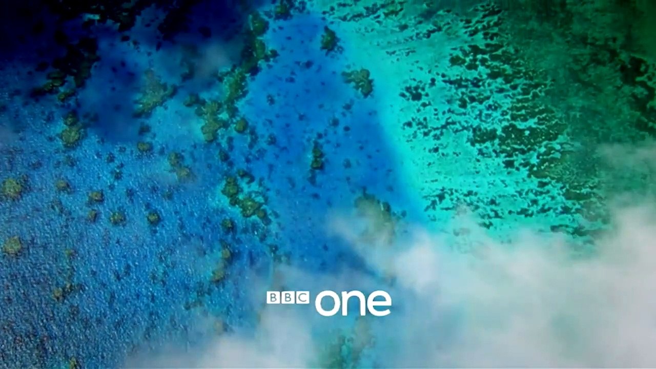 Great Barrier Reef with David Attenborough | show | 2015 | Official Trailer
