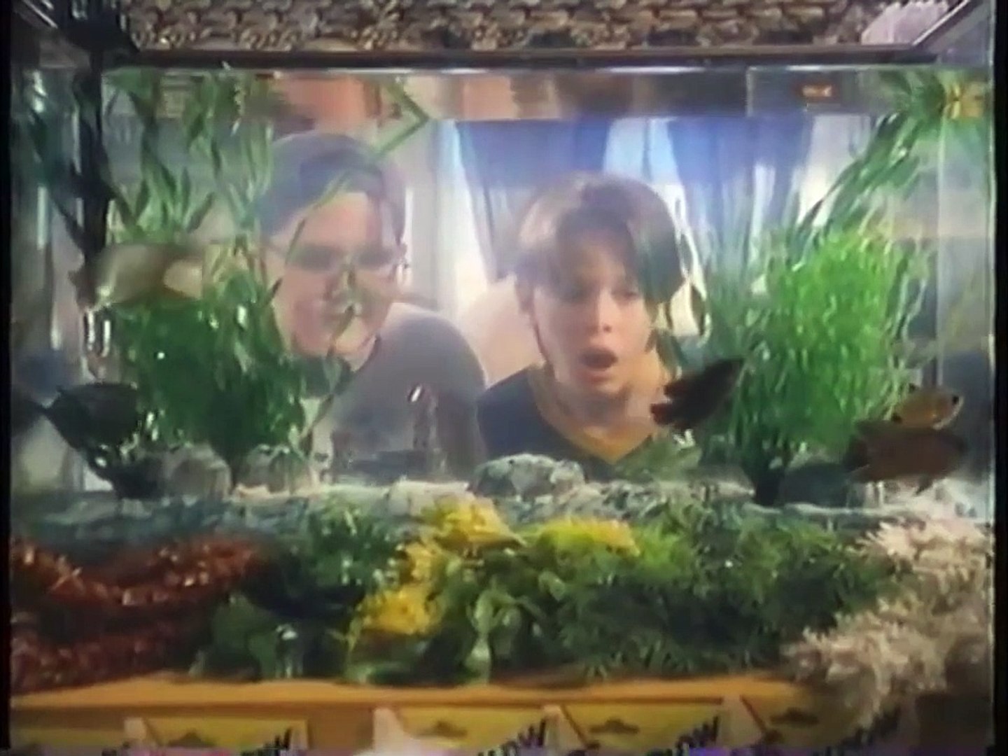 ⁣Pet Shop | movie | 1995 | Official Trailer