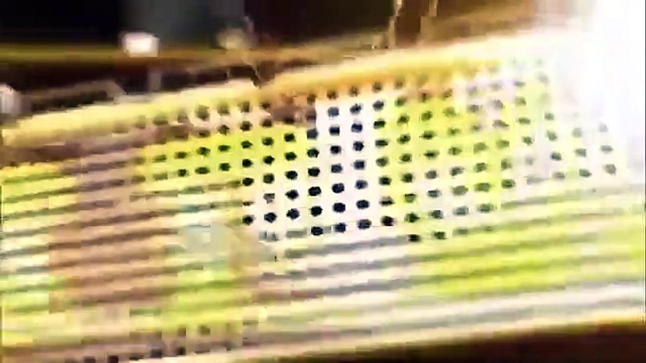 Celebrity Name Game - Se2 - Ep25 HD Watch