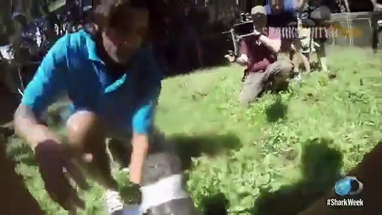 Shark Week - Se29 - Ep15 HD Watch