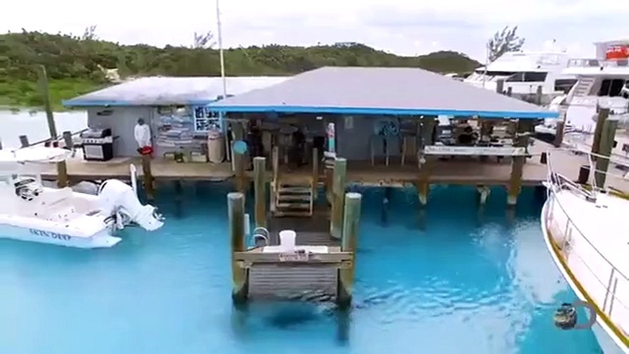 Shark Week - Se29 - Ep16 HD Watch