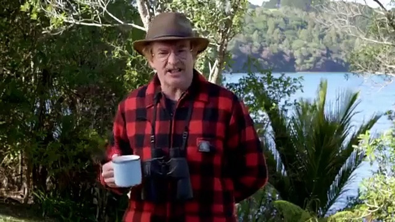 Shark Week - Se33 - Ep06 - Jaws Awakens HD Watch