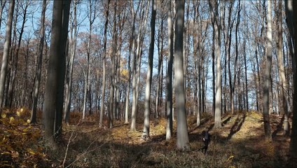 The Poltergeist Diaries | movie | 2021 | Official Trailer