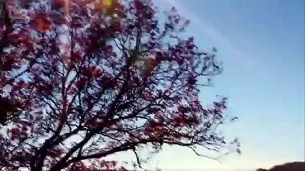 Hotel Impossible - Se4 - Ep11 HD Watch