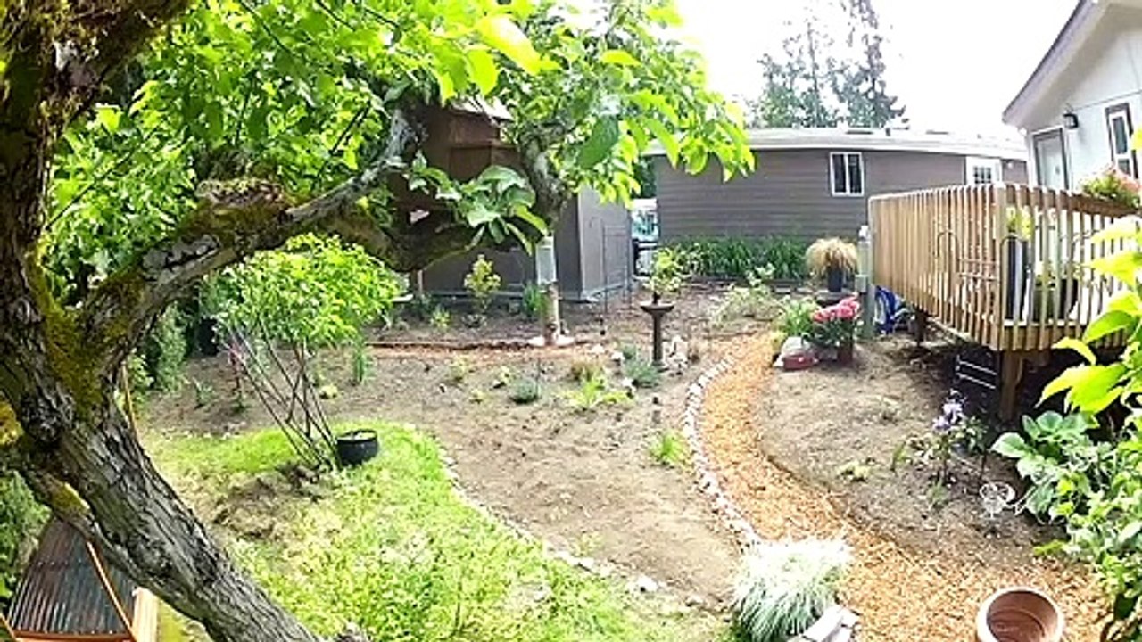 The Garden Oasis | movie | 2020 | Official Trailer