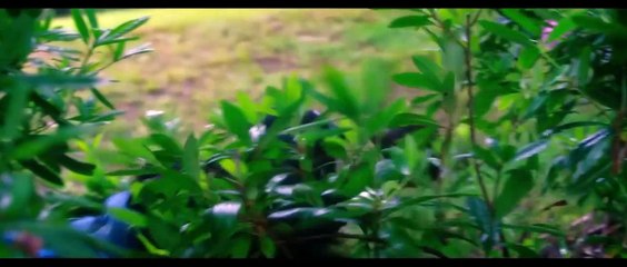 The Take Down | movie | 2019 | Official Trailer