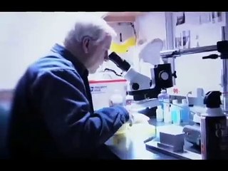 Loose Change 9/11: An American Coup | movie | 2009 | Official Trailer