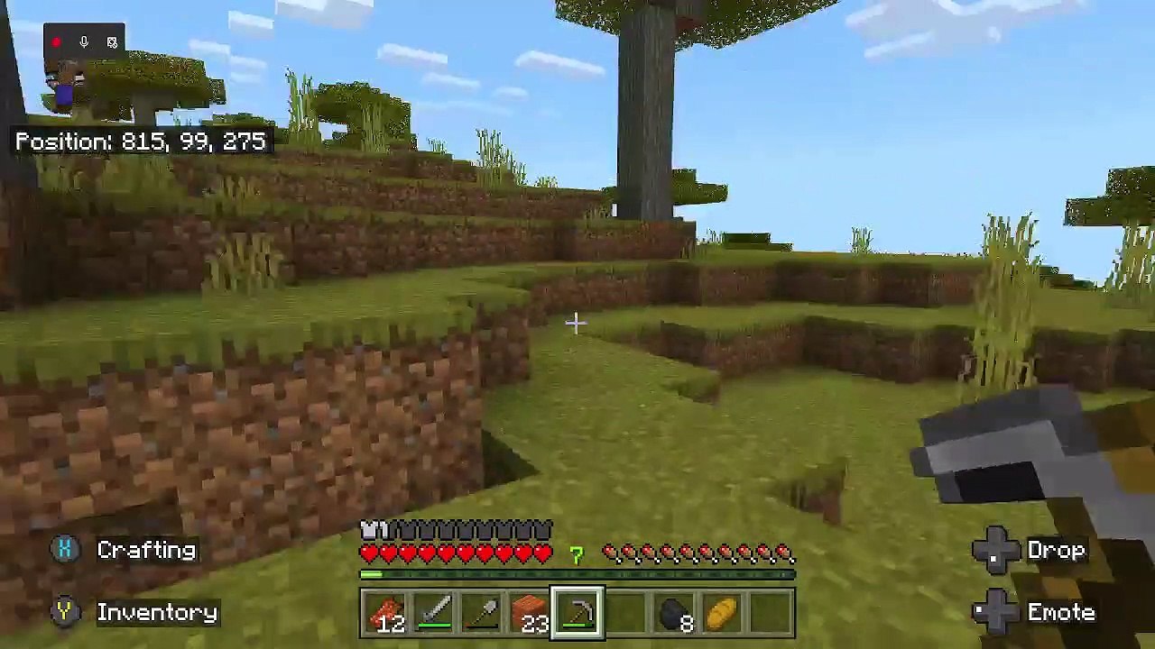 Minecraft Basebuilding
