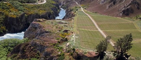 Bride Flight | movie | 2008 | Official Trailer