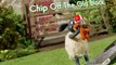 Shaun the Sheep Shaun the Sheep E065 – Chip off the old Block