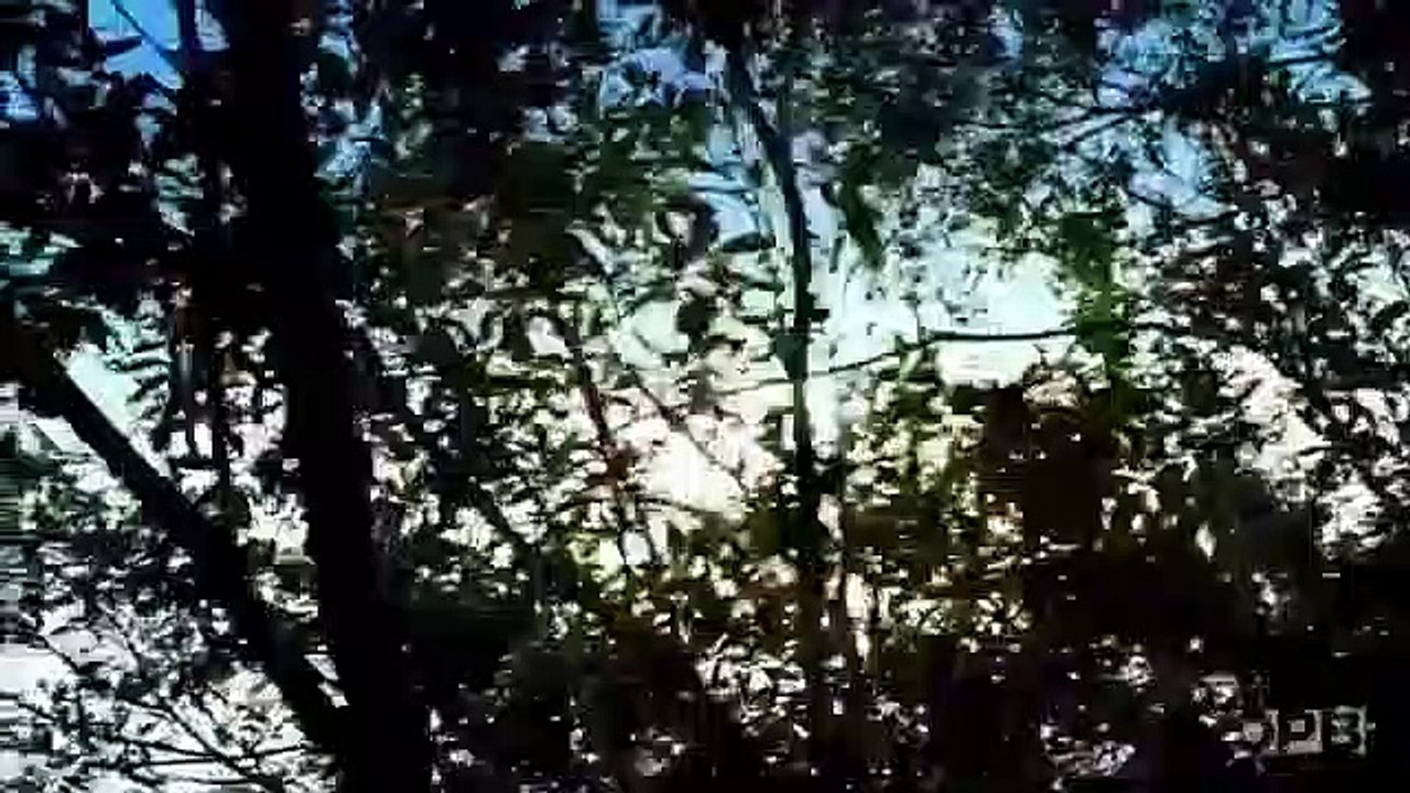 Secrets of the Dead - Se16 - Ep02 HD Watch