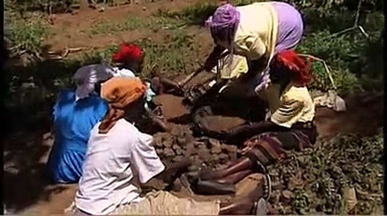 Taking Root: The Vision of Wangari Maathai | mo...