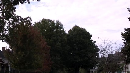 Night Howl | movie | 2017 | Official Trailer