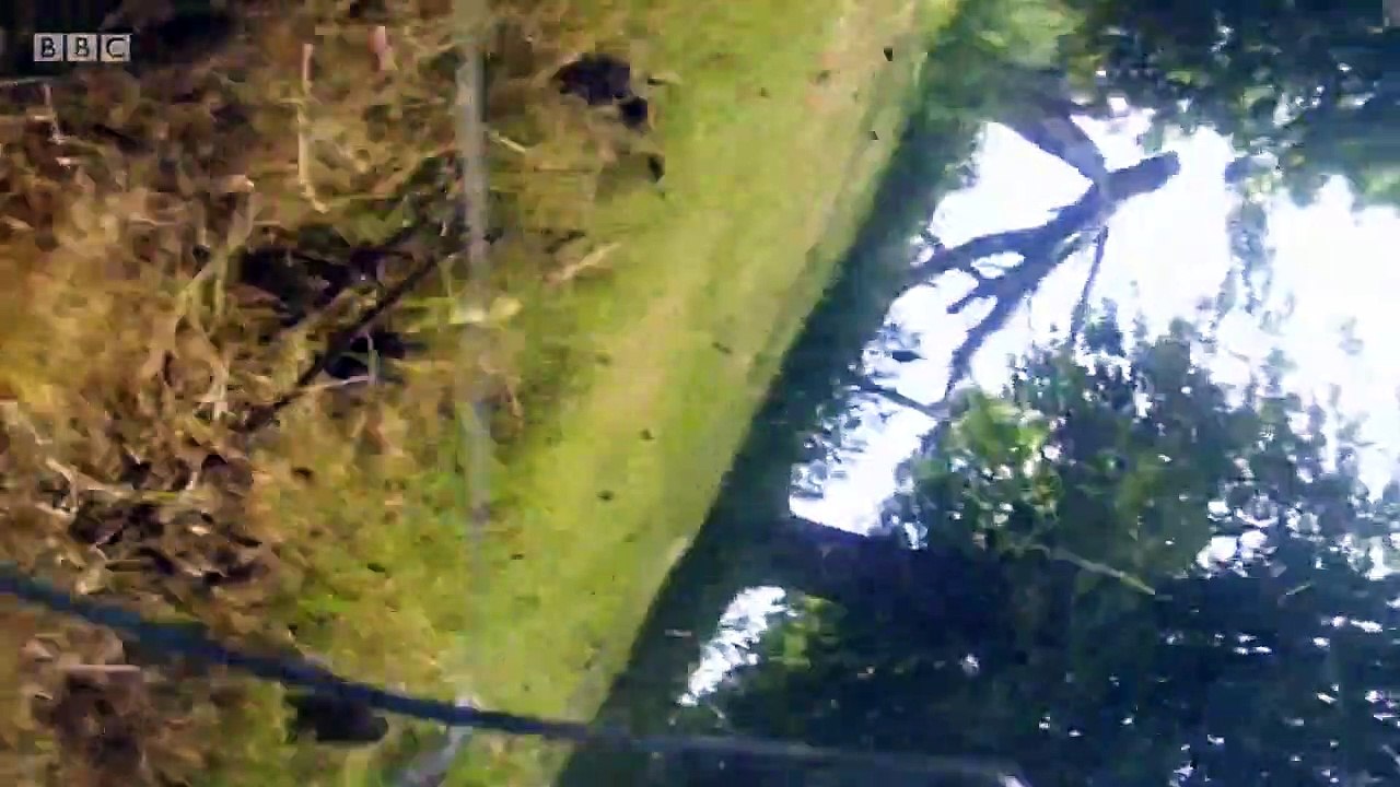 Close Calls - On Camera - Se7 - Ep06 HD Watch