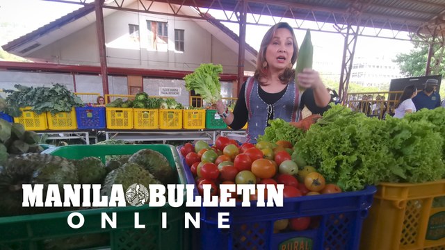 Senate Bayon All You wherein various vegetables that were rescued from over-production of fruits and vegetables