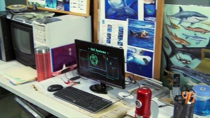 Shark Babes | movie | 2015 | Official Trailer