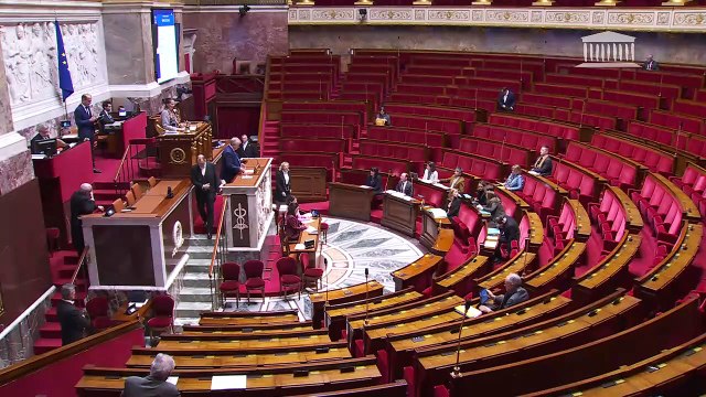 2ème séance : Fusion des filières à responsabilité élargie des producteurs d’emballages ménagers et des producteurs de papier (suite) - Mardi 31 janvier 2023