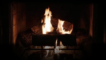 Adult Swim Yule Log (aka The Fireplace) | movie | 2022 | Official Trailer