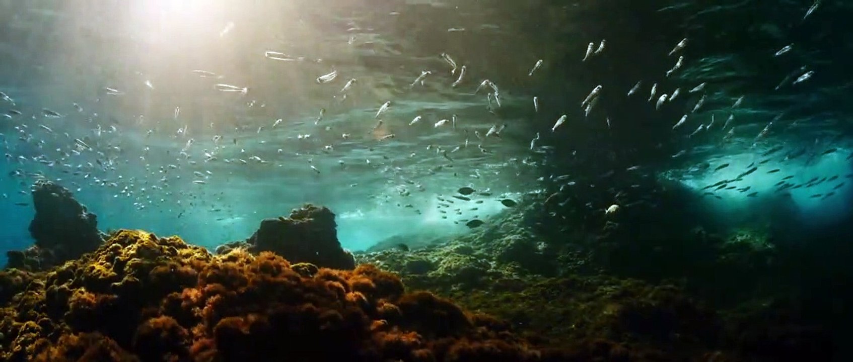 Evolution | movie | 2016 | Official Trailer