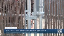 ABC15 takes a closer look at Phoenix Zoo's security