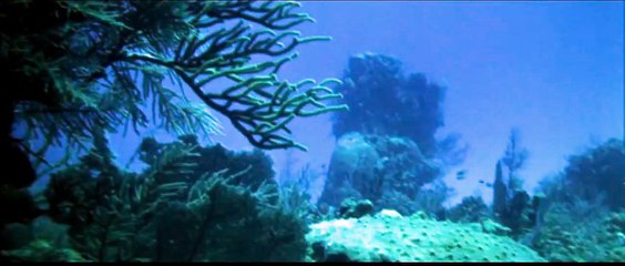 The Neptune Factor | movie | 1973 | Official Trailer