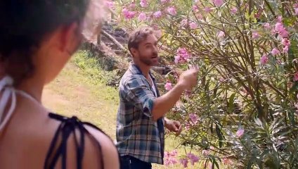When the Mist Clears | movie | 2022 | Official Trailer